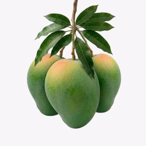 হাঁড়িভাঙা আম 12 KG