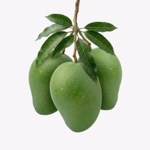 গোবিন্দভোগ আম 12 KG